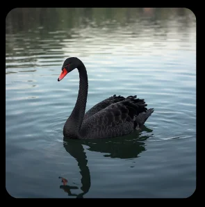 Black Swan, a futures archetype from the Black Menagerie